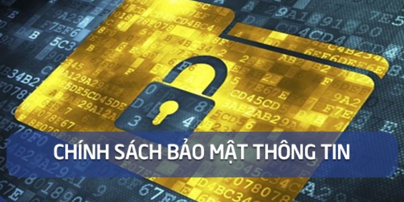 Tầm quan trọng của chính sách bảo mật VB9